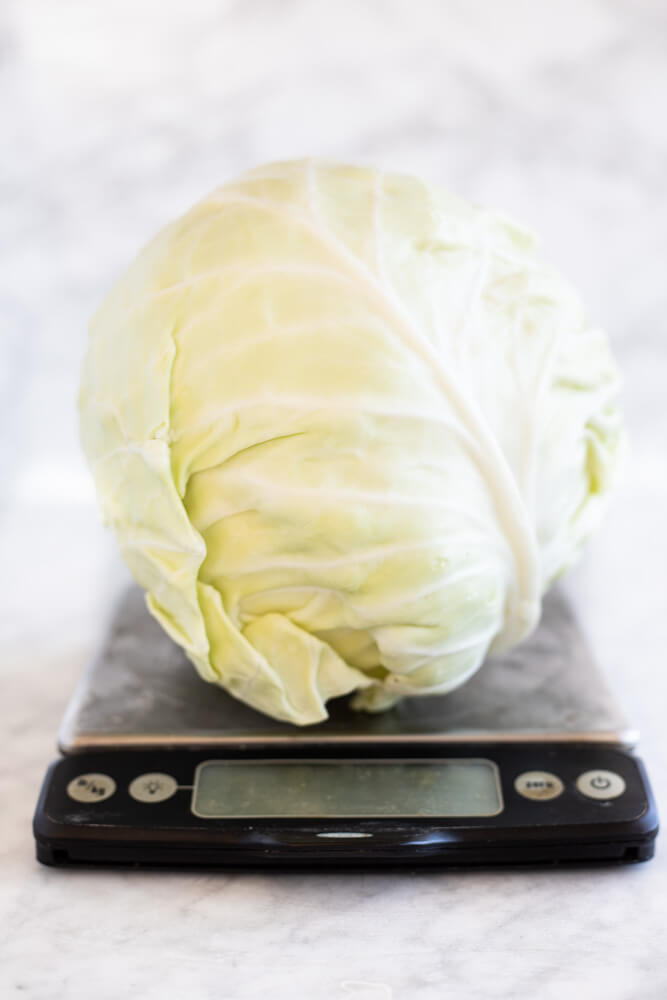 head of cabbage on scale