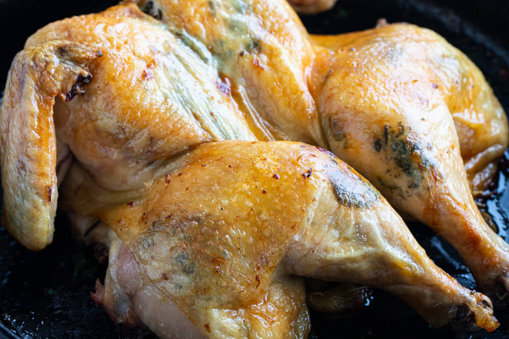 close up of a roasted whole chicken