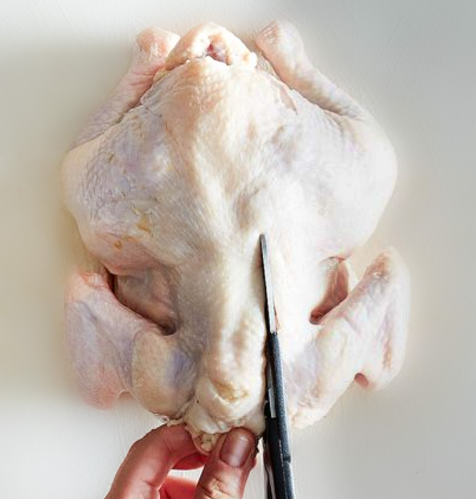 cutting a whole chicken