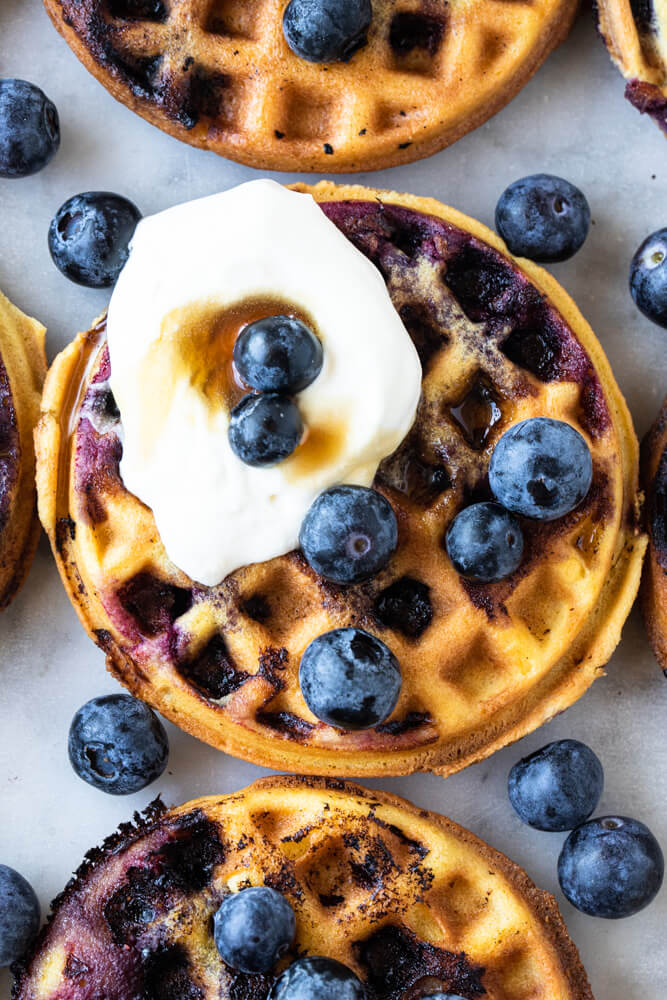 close up of blueberry waffle
