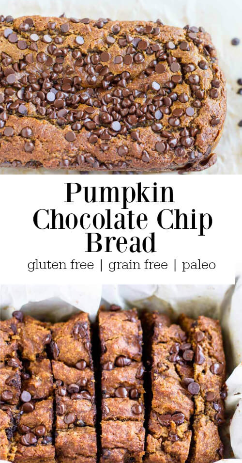 pumpkin bread loaf covered in chocolate chips