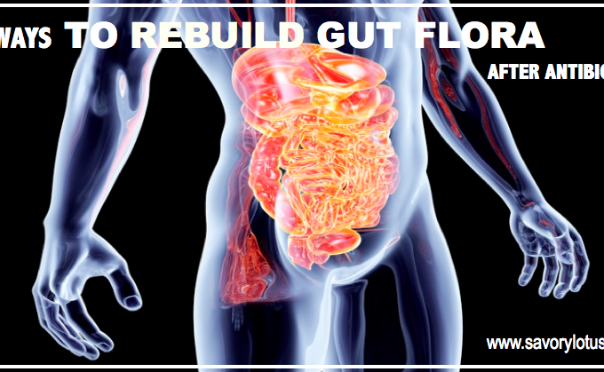 6 Ways to Rebuild Gut Flora After Antibiotics : savorylotus.com
