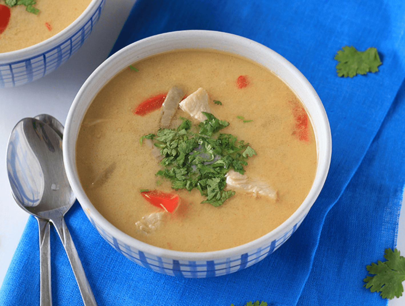 30 Easy Whole30 Soup Recipes | low carb thai chicken soup